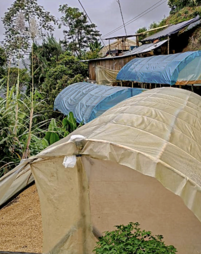 Finca La Primavera: Huila, Colombia
