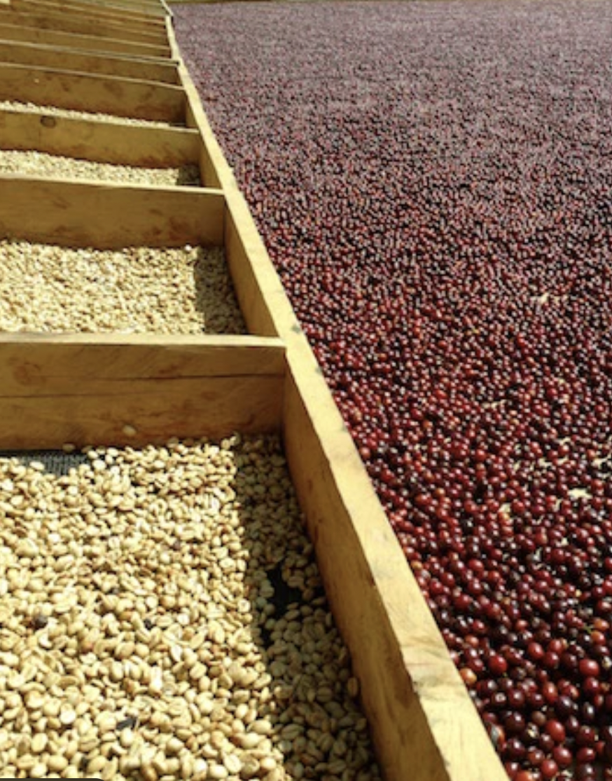 Carlos Cadena: Veracruz, Mexico