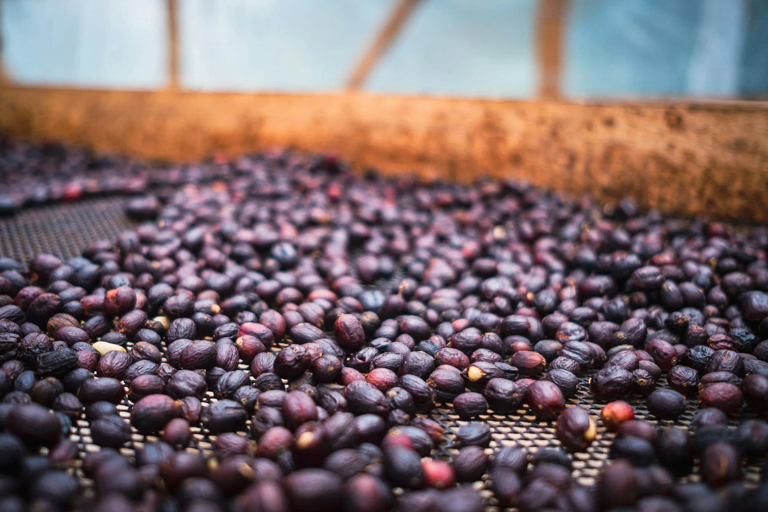 Is It Coffee… Or Sangria?