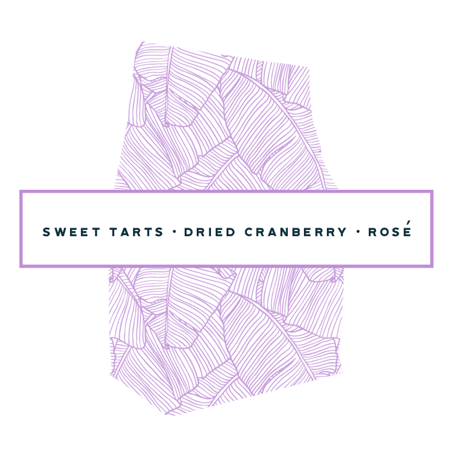 Banana Leaf Pattern Coffee Bag Rollovers-23.png (Copy)