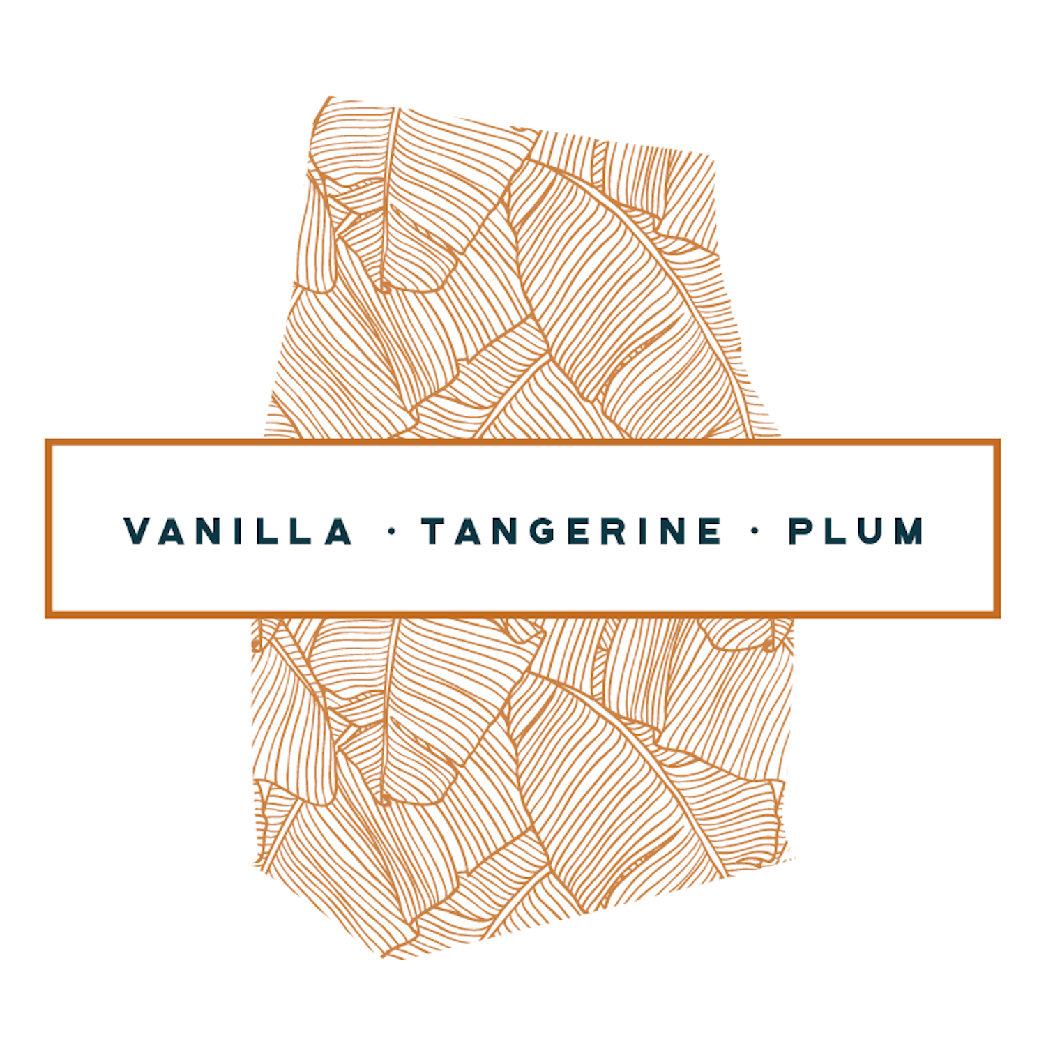 Banana Leaf Pattern Coffee Bag Rollovers-30.png