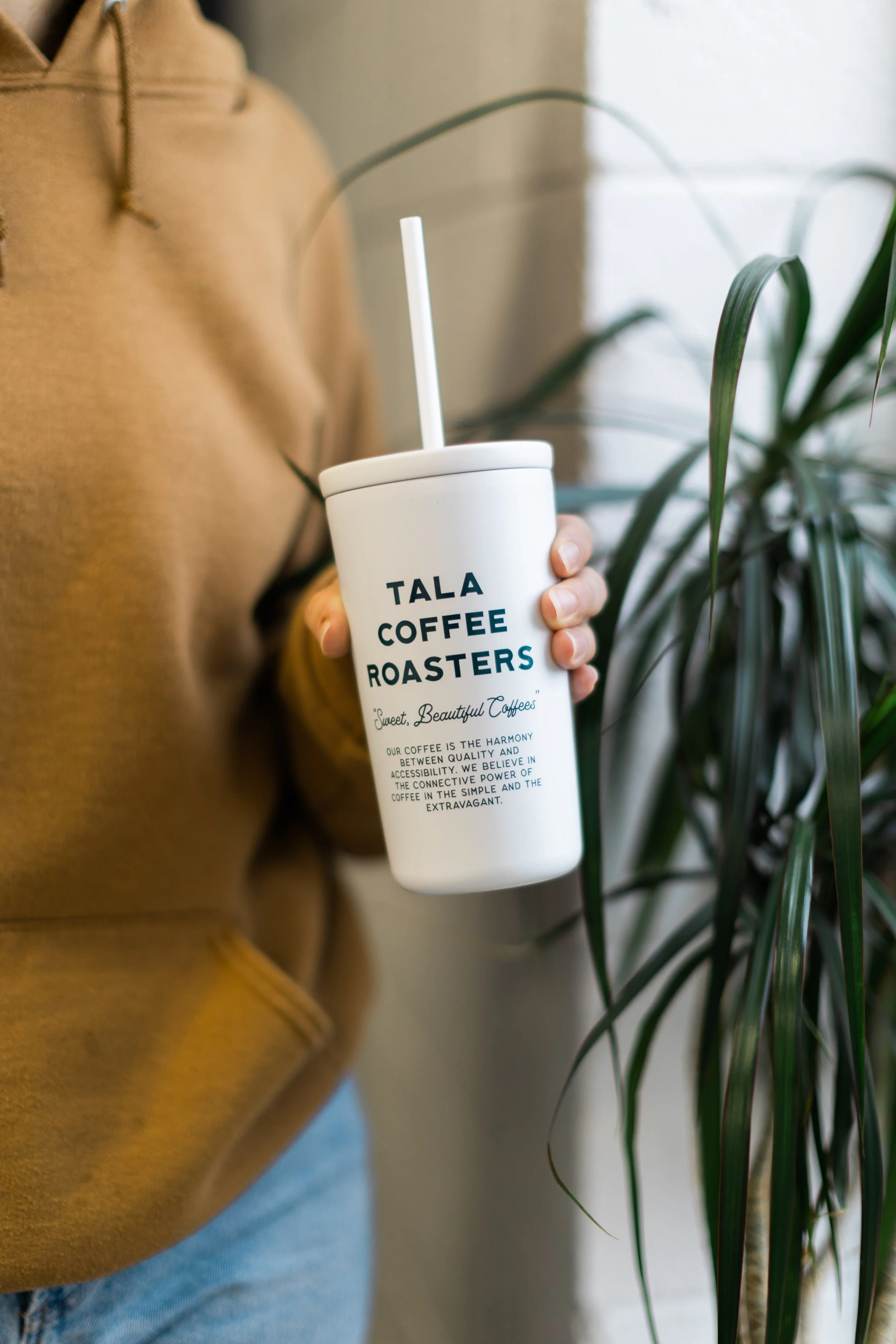 Tala Cold Cup — Tala Coffee Roasters