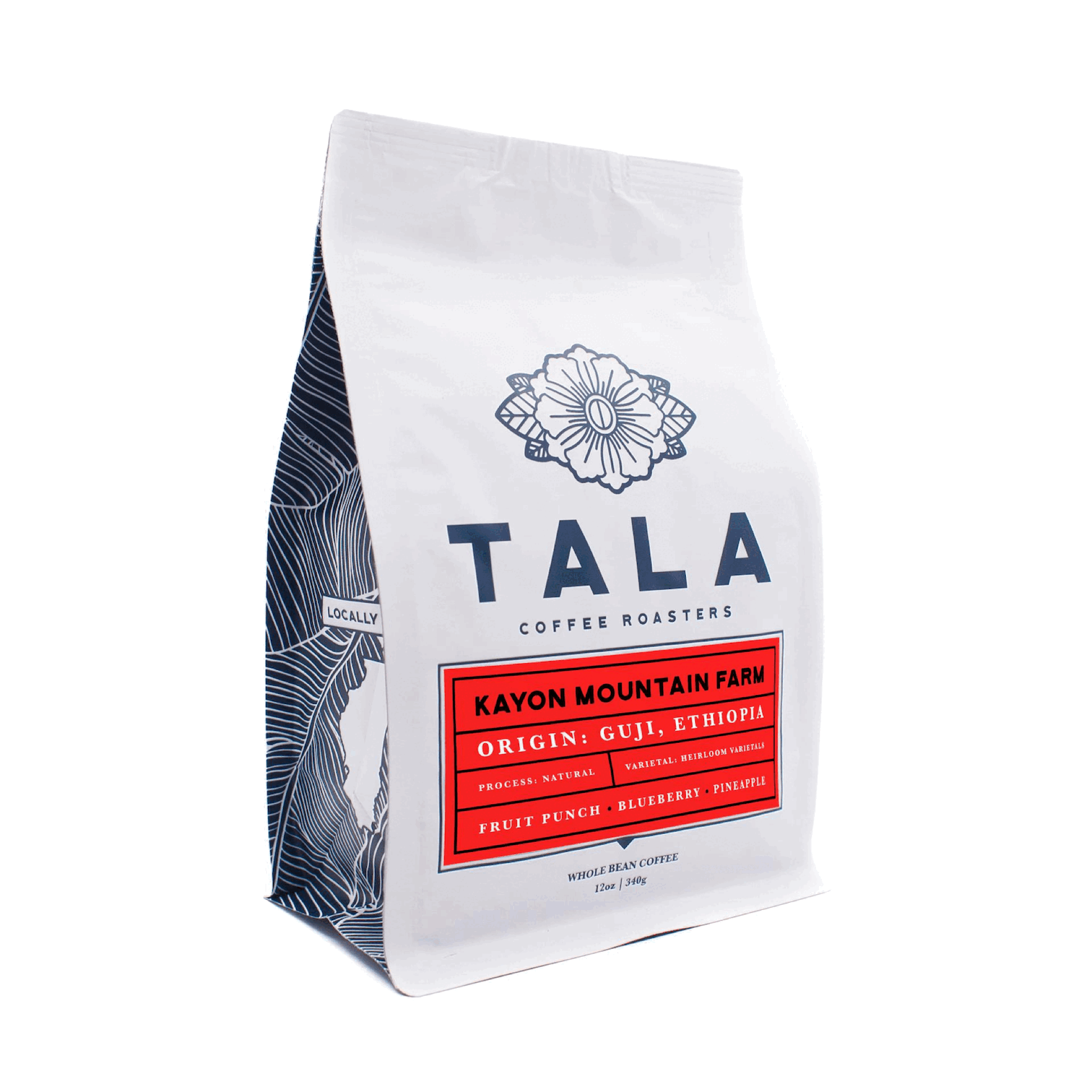 KayonMountainFatmGif.gif (Copy)