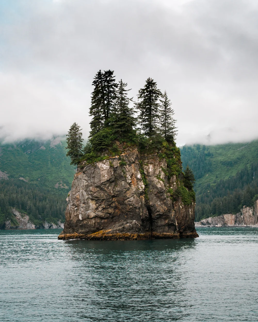 _IMG3751.jpg