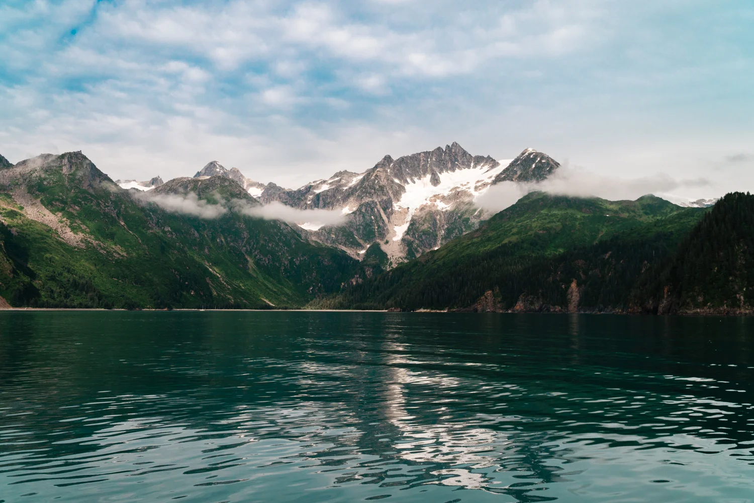 _IMG4029.jpg