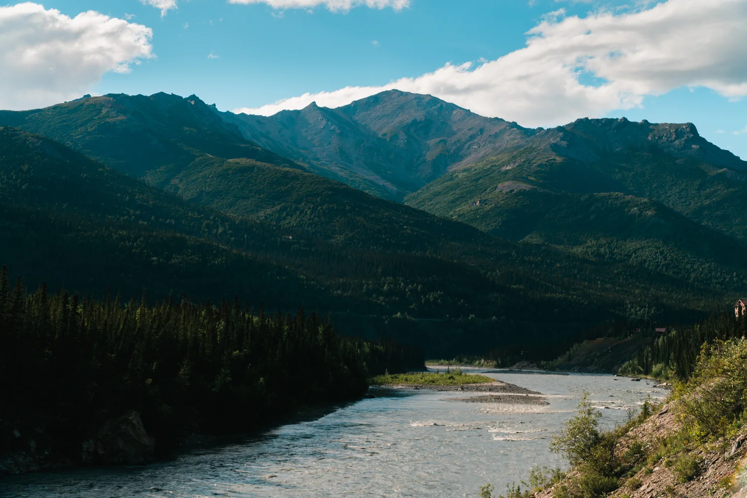 _IMG4515.jpg