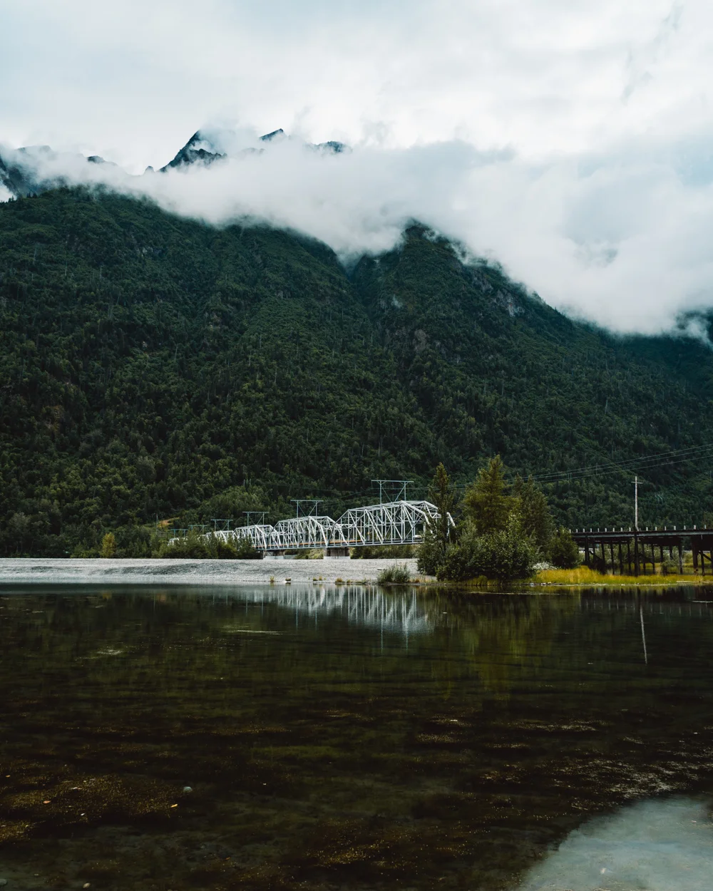 _IMG5137.jpg