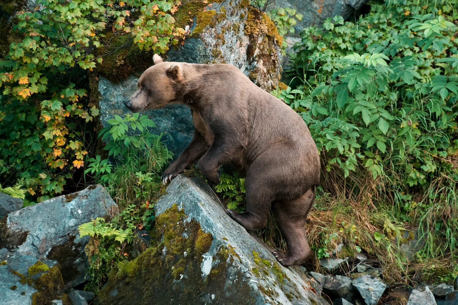_IMG5514.jpg