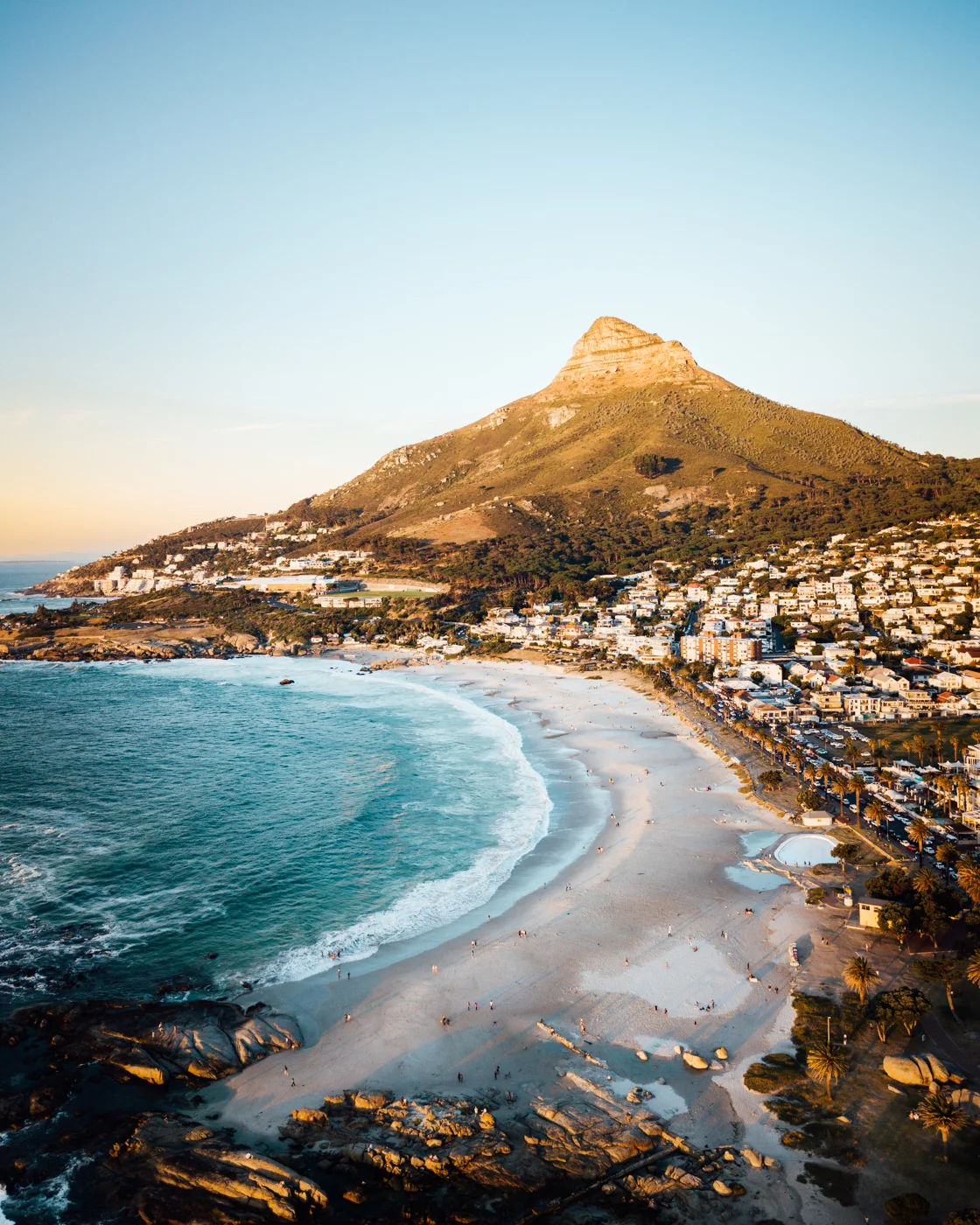 Lion's head