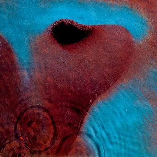 PINK FLOYD: MEDDLE (1971)