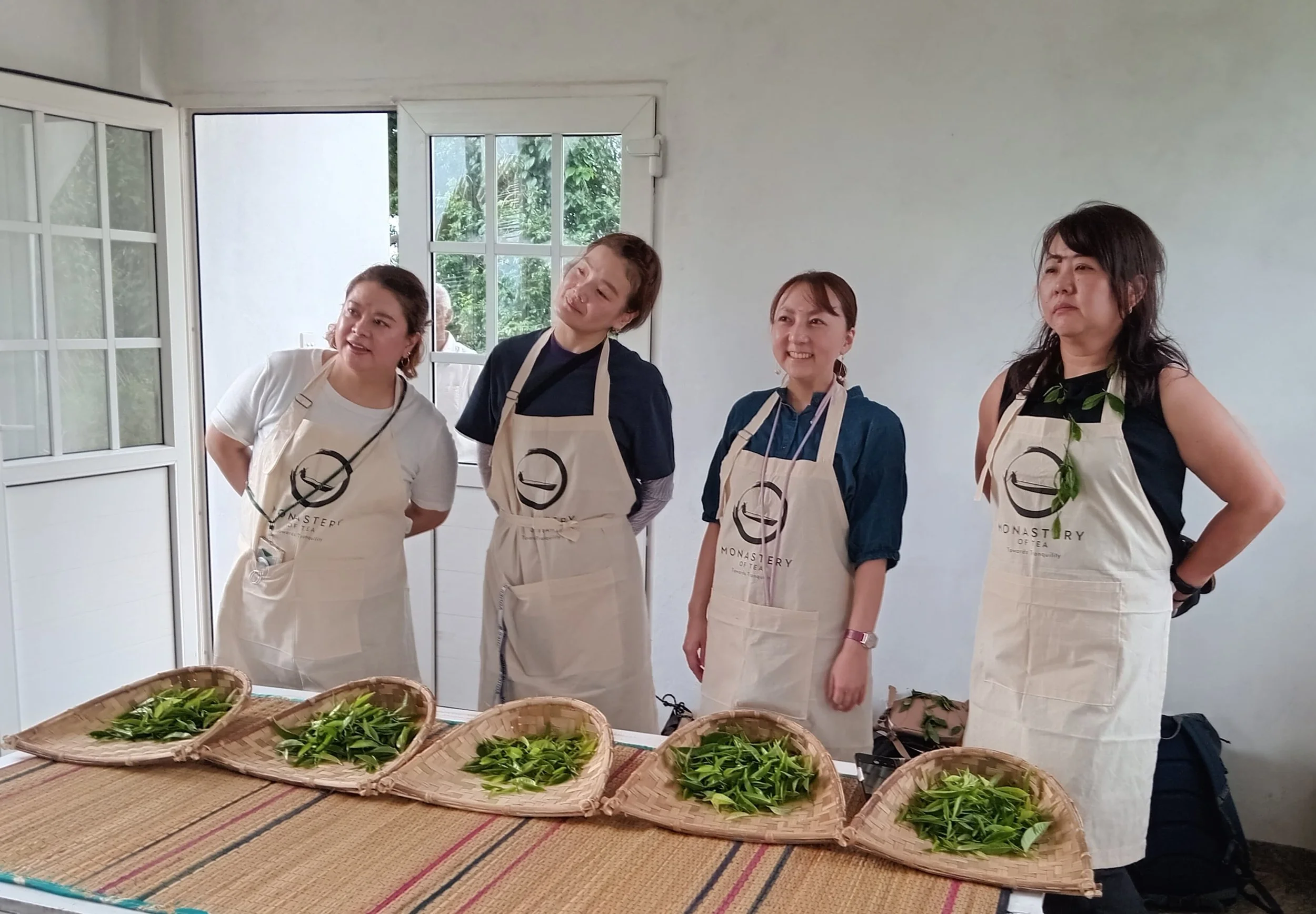presentation of leafes.jpg