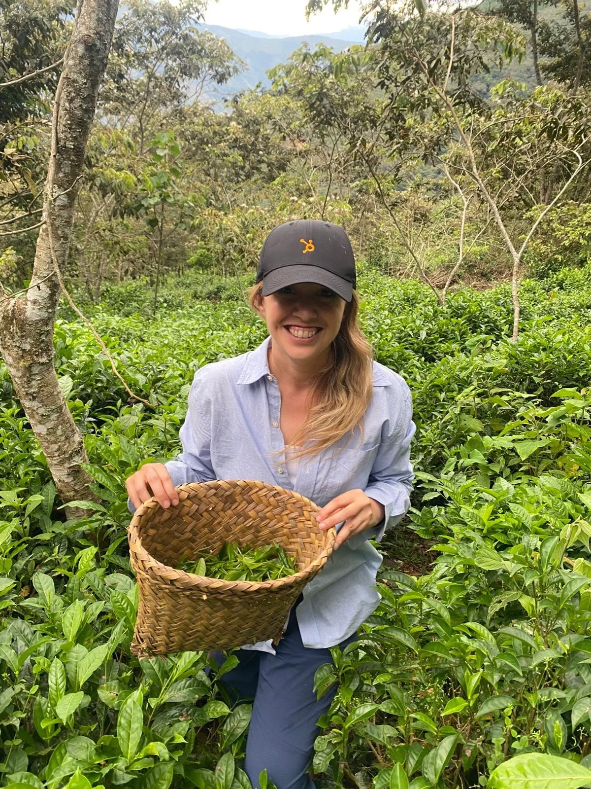 Adrienne Bryan in a tea field with a basket containing tea leaves