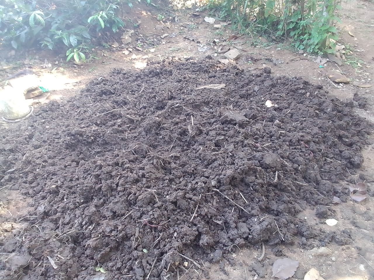  Making Our Own Organic Compost