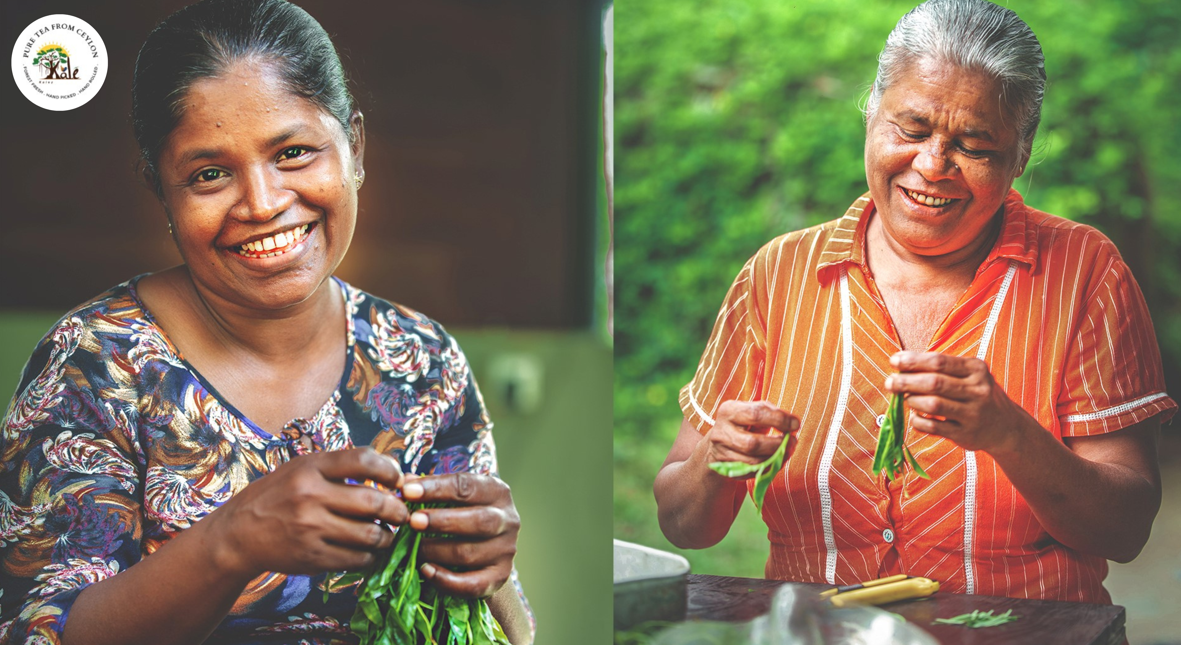 Two people making the tea cigars