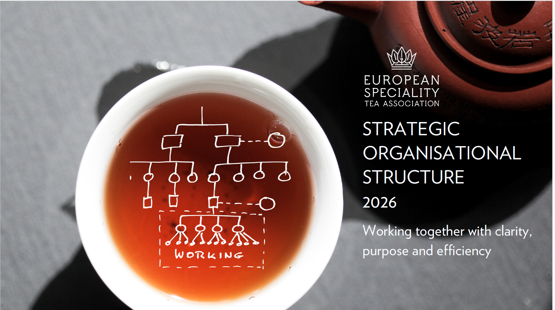 ESTA New Committee Structure front cover report