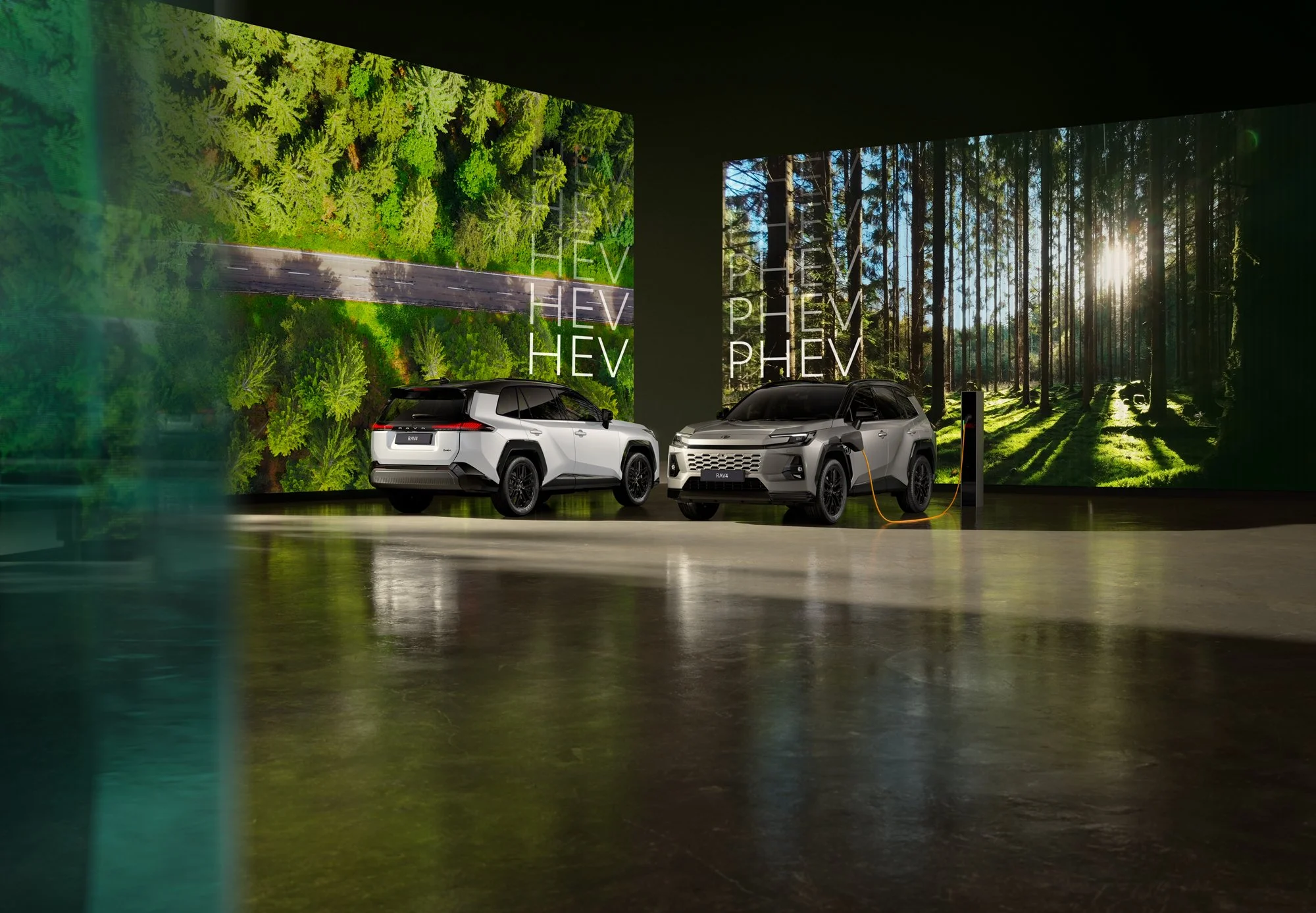 2025 RAV414.jpg