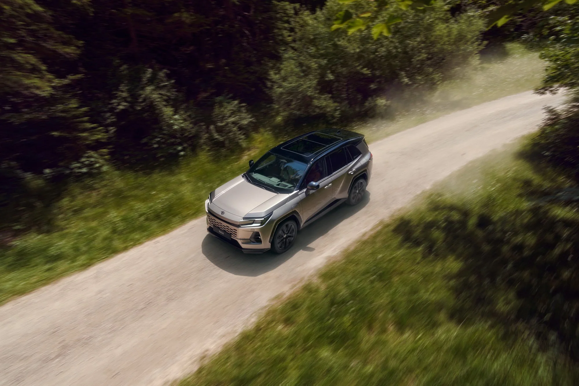 RAV4 2.jpg