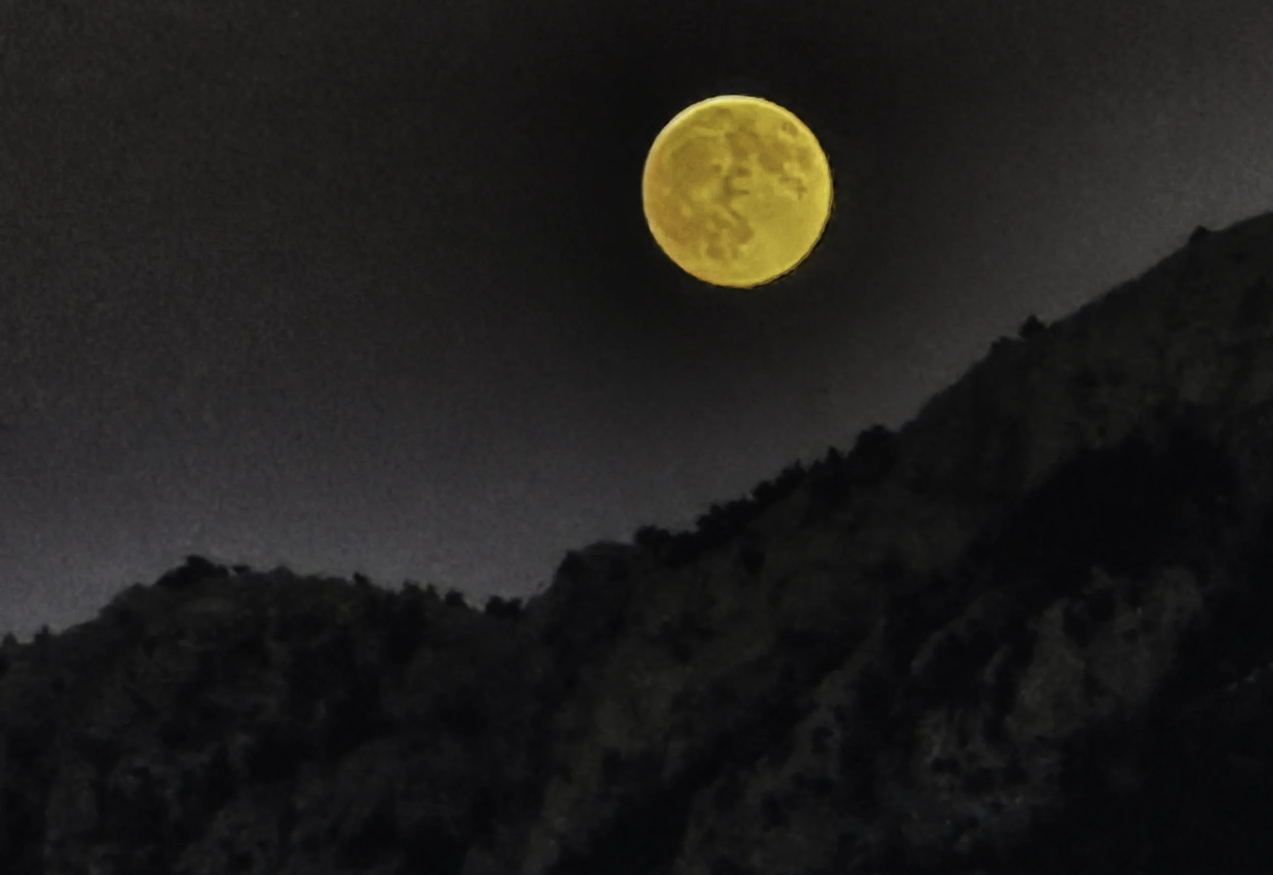 omzetten naar portret 11x16.JPG