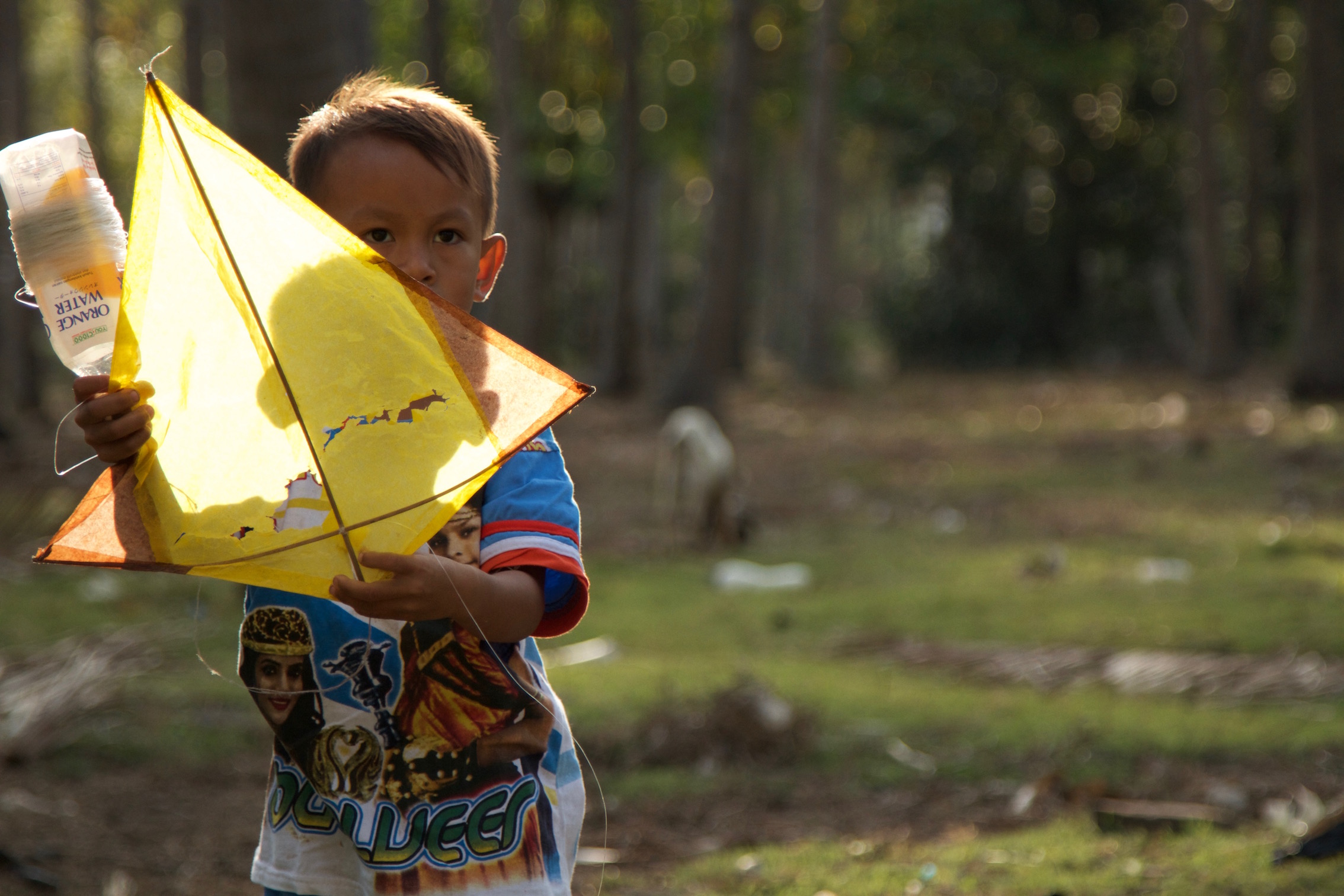 Boy With Kite.jpeg
