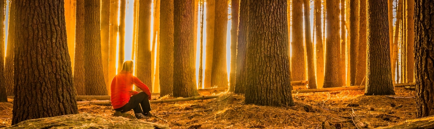 ... always seeking the light.