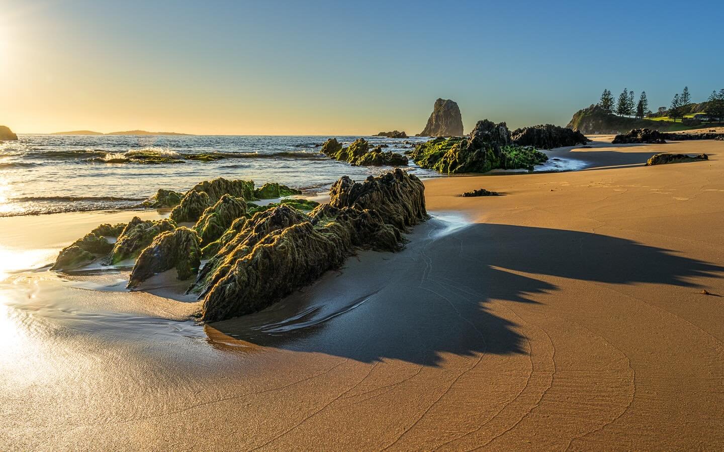 &ldquo;Dragon Tails&rdquo;
Early Morn / Glasshouse Rocks, Narooma, NSW, Australia .

A great morning exploring the beach after sunrise at the Rocks!

:
:
:
:
:
:
@special_shots @igworldclub_sunset @sunrise_sunset_photogroup @aussiephotos @australia_s
