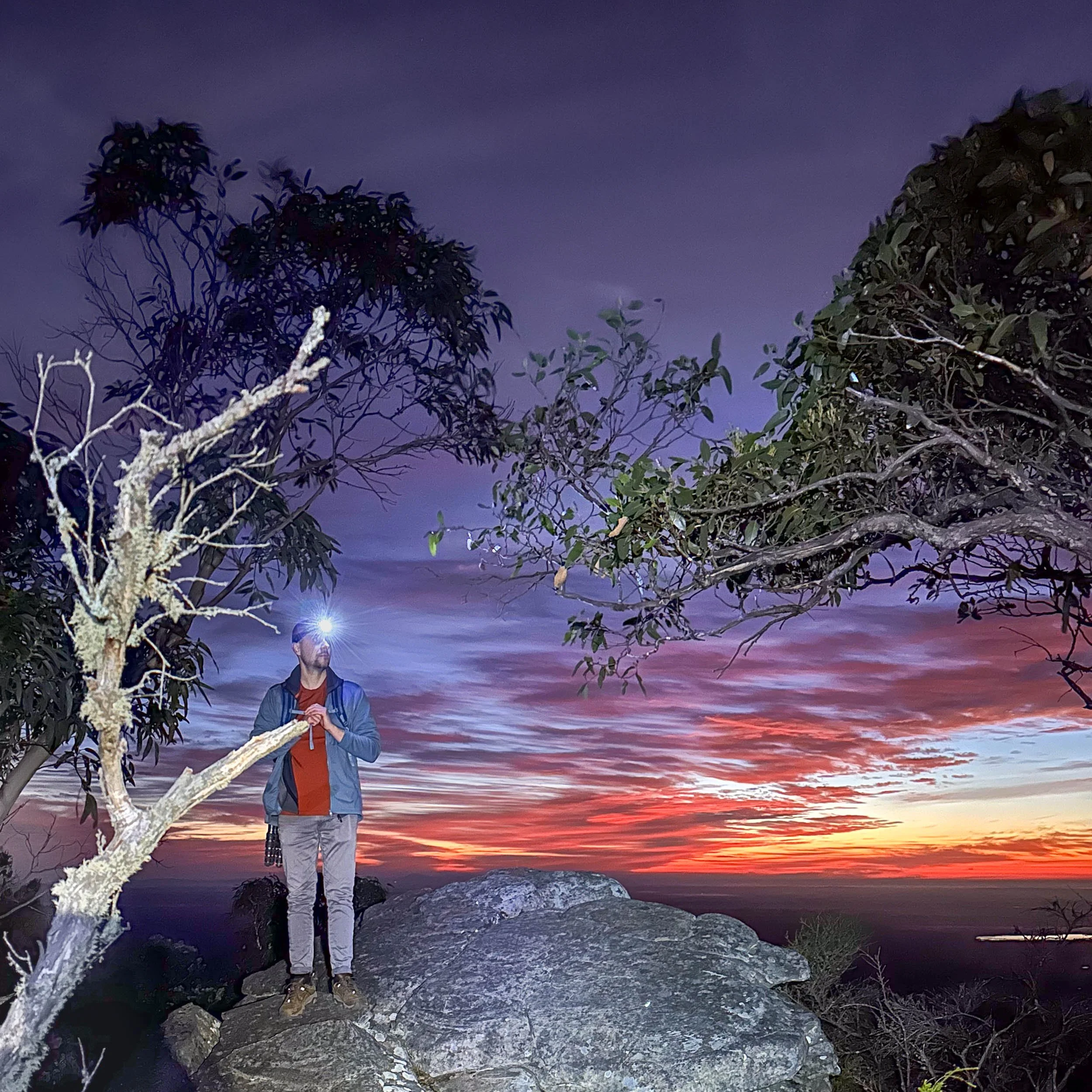 20260405-IMG_7012 1.jpg