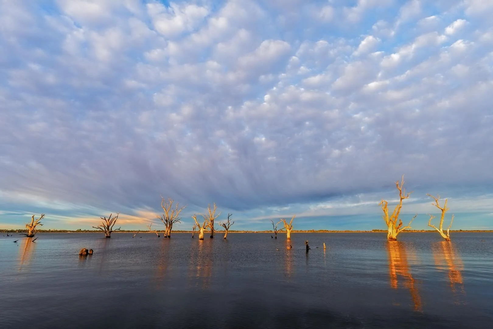 &ldquo;Glow Sticks&rdquo;
Sunrise / Lake Bonny, South Australia .

On my way back from a fabulous camping trip to the Flinders Ranges, I stayed a night on the shores of Lake Bonney.
Beautiful, peaceful spot. Camped right on the edge of the lake.

An 
