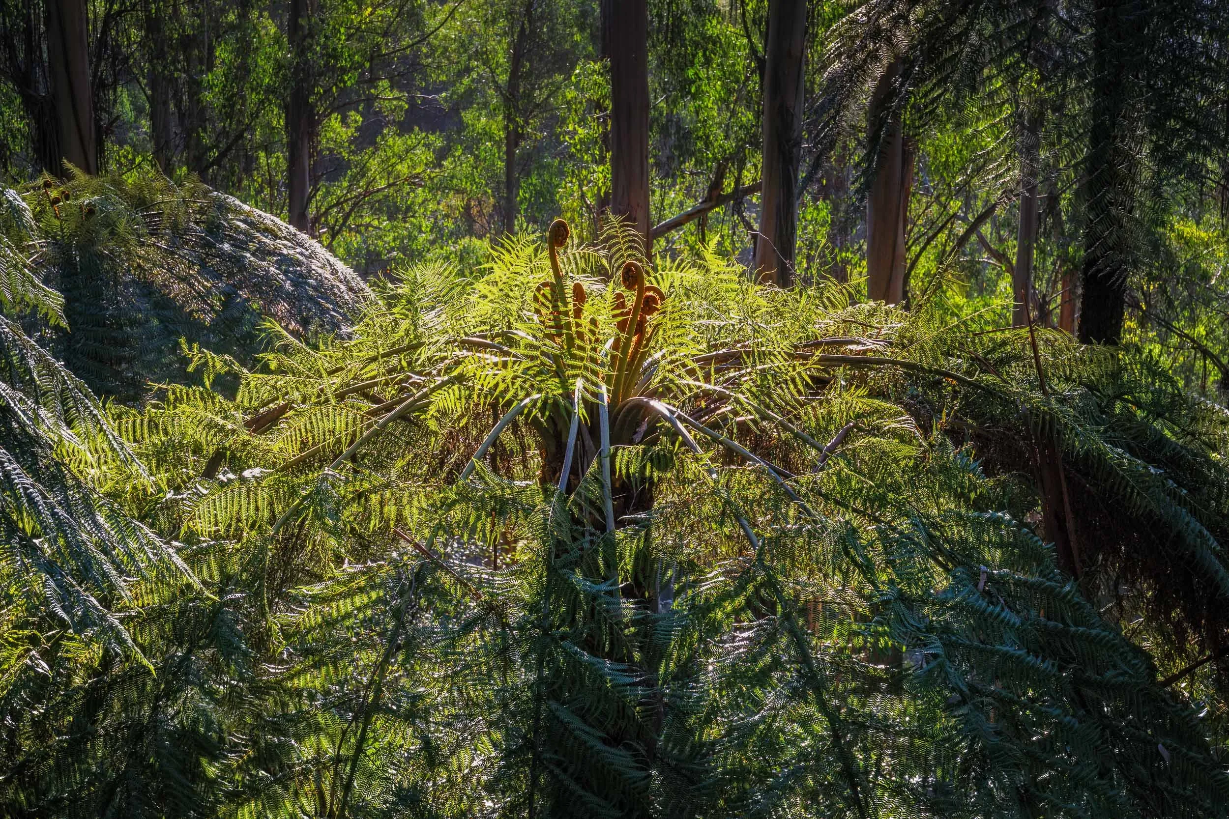 20260908-CGP00936-Edit.jpg
