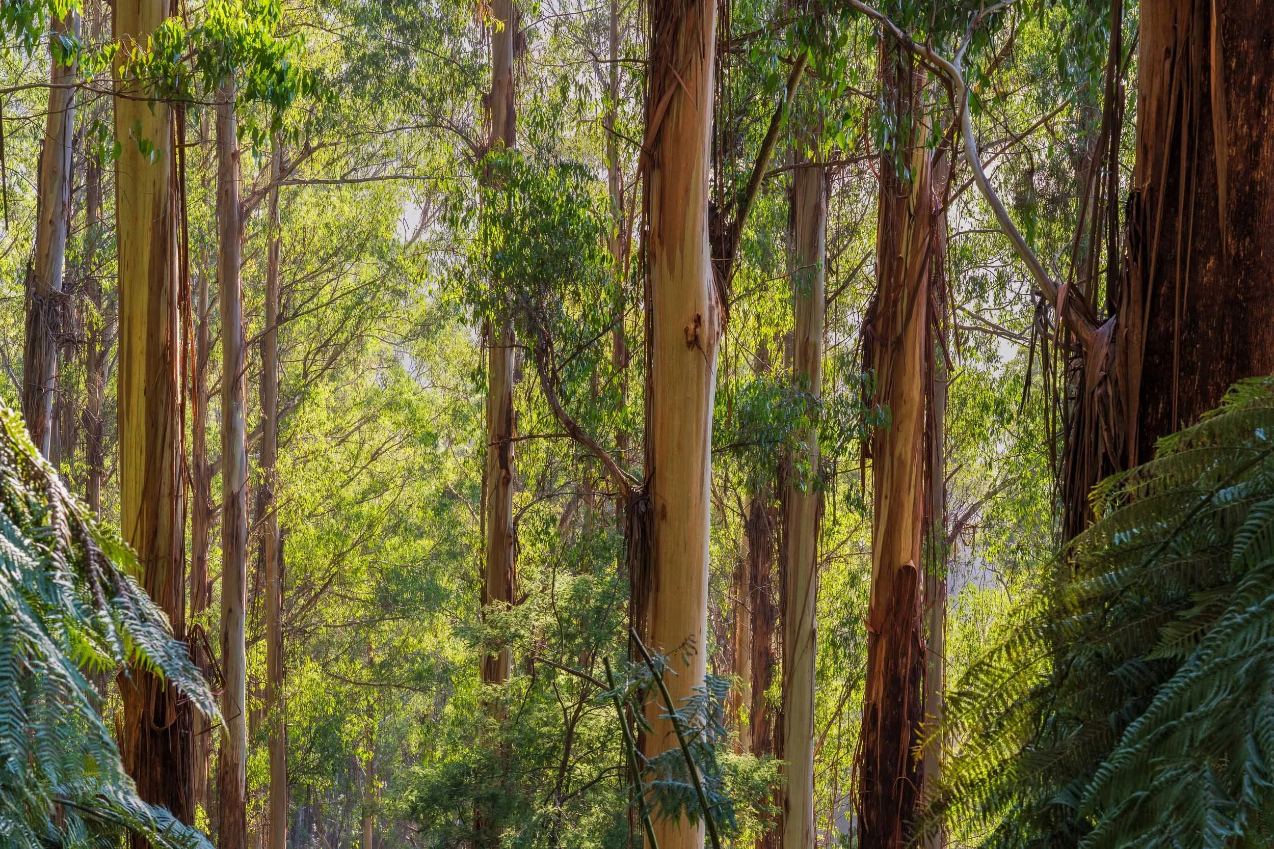 20260908-CGP00943-Edit.jpg