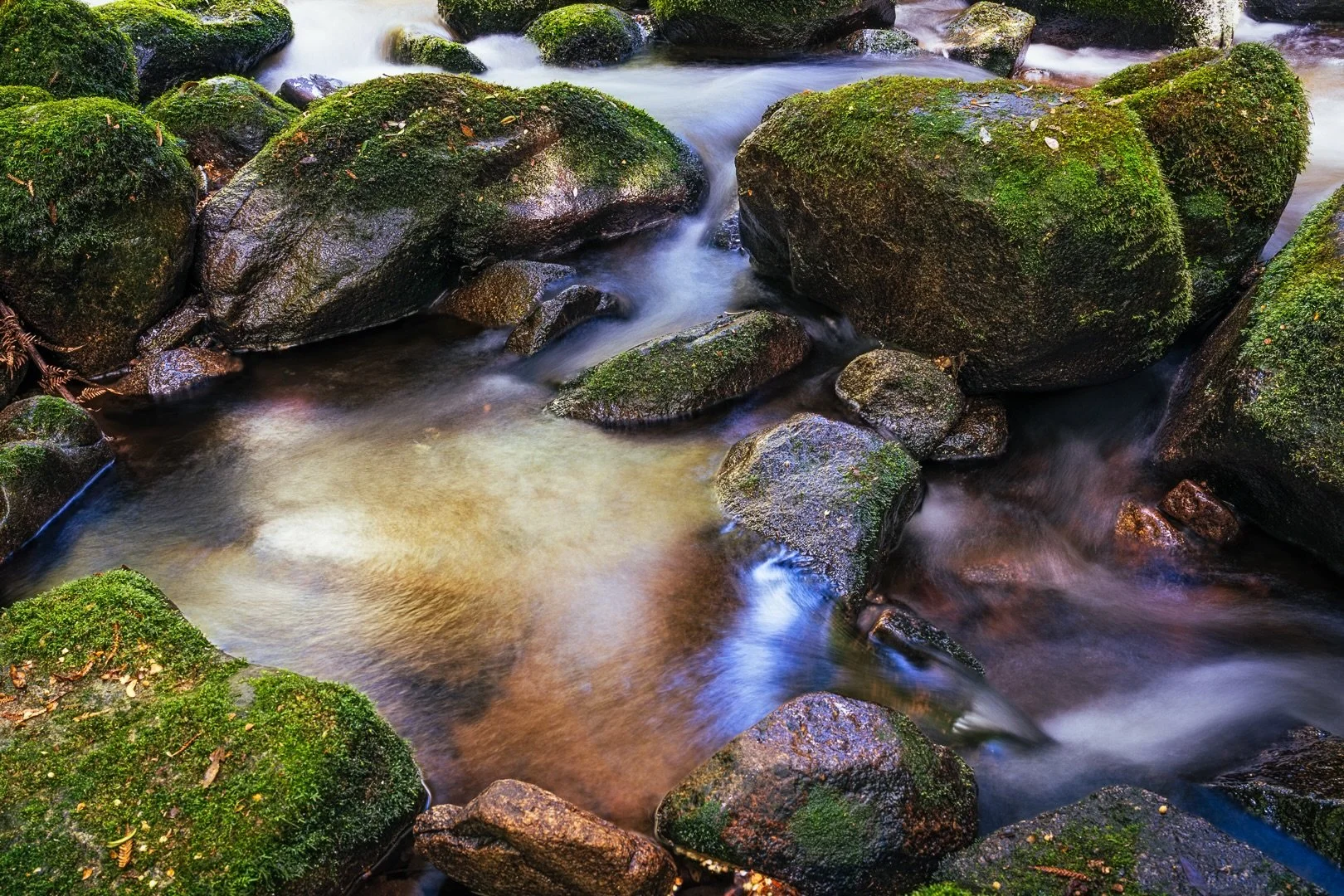 &ldquo;Secluded&rdquo;
Noon / Pyengana, Tasmania, Australia 

Whilst out chasing a water fall, I wandered across this secluded, secret stream.
Not large, but enough flow to create some beautiful  scenes.

This one&rsquo;s my fave!