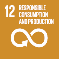 sdg12.png