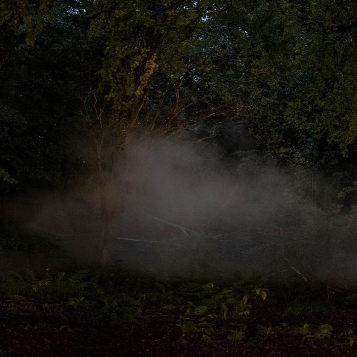 ALEXANDRA TOOMEY - ECHO ARTISTS - BSMBH 4.png