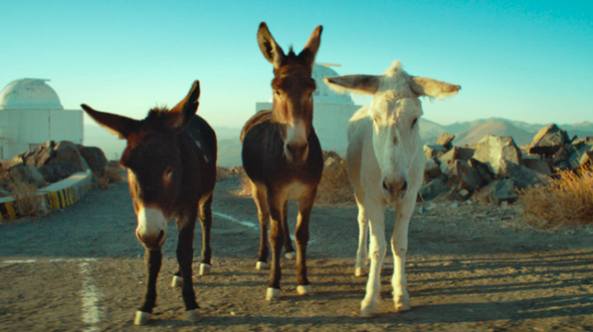 PERFECTLY A STRANGENESS