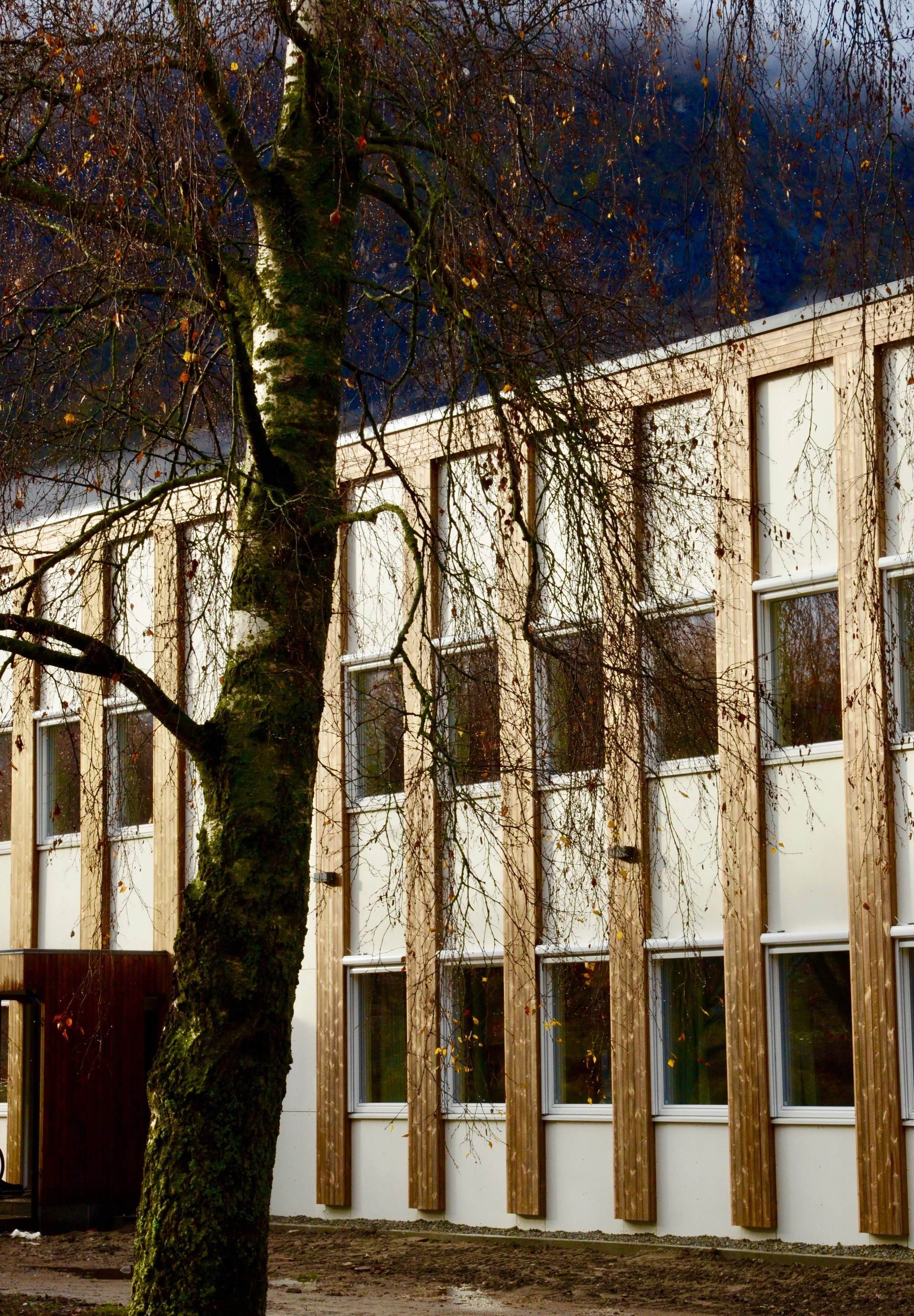 Detaljer fasade, rehabilitering Luster rådhus