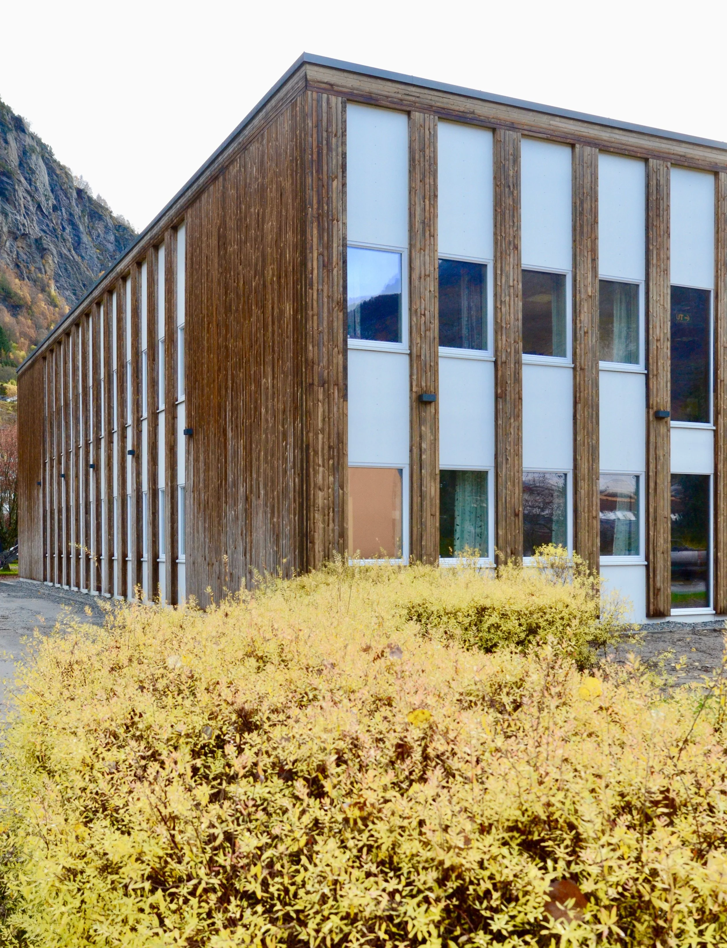 Detaljer fasade, rehabilitering Luster rådhus