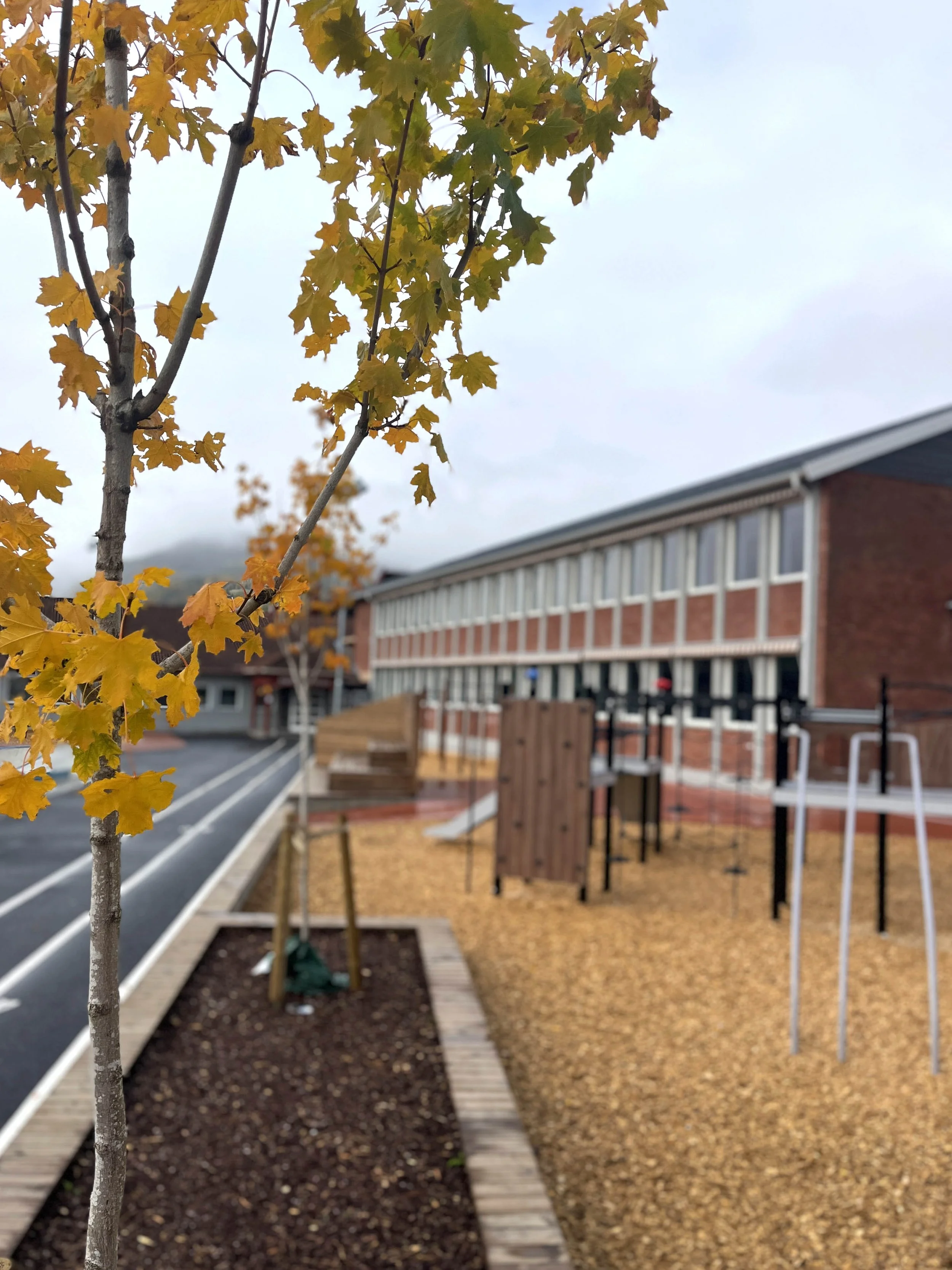 Nedre-Ål skule