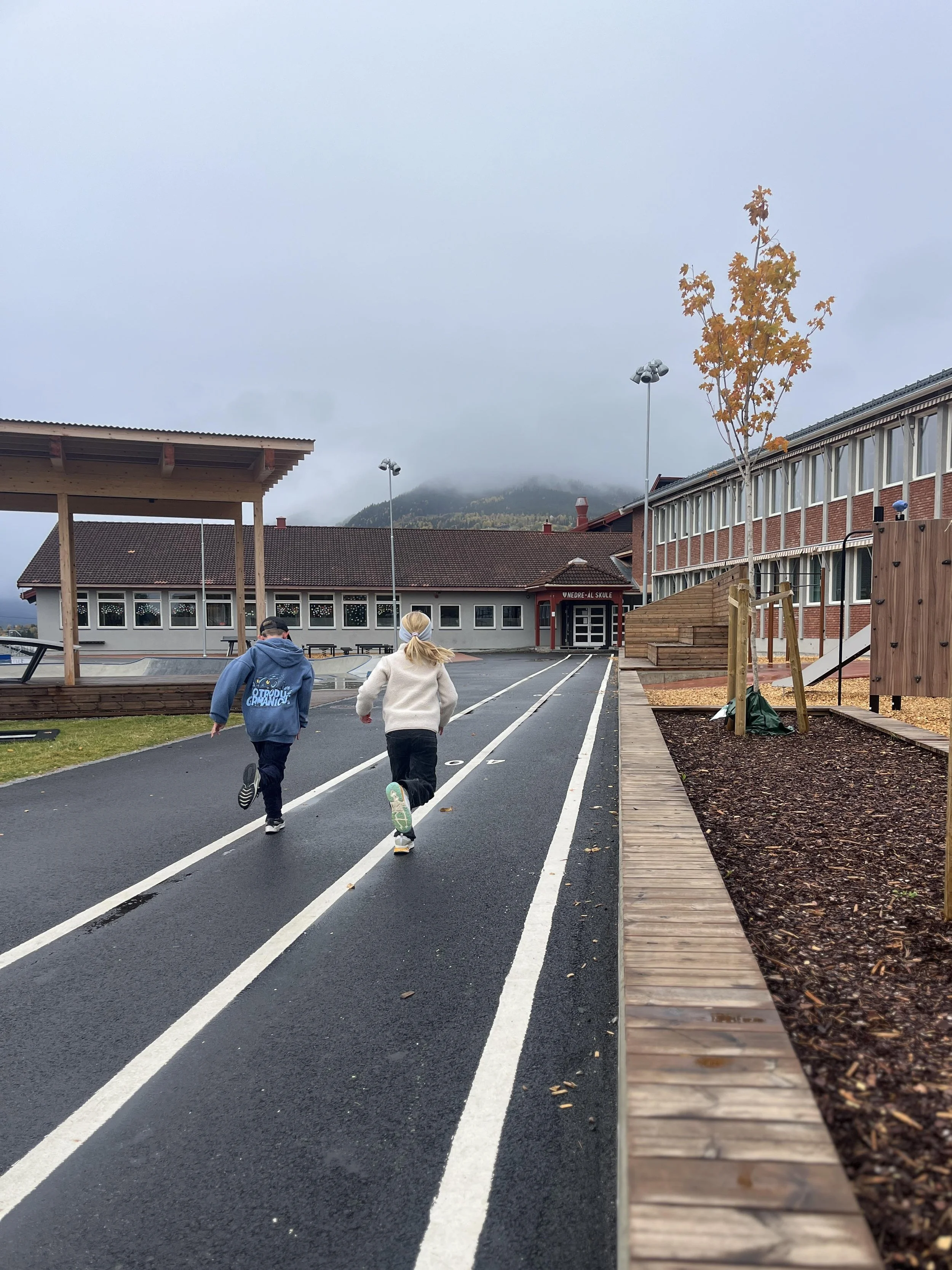 Skoleplass Nedre-Ål skule
