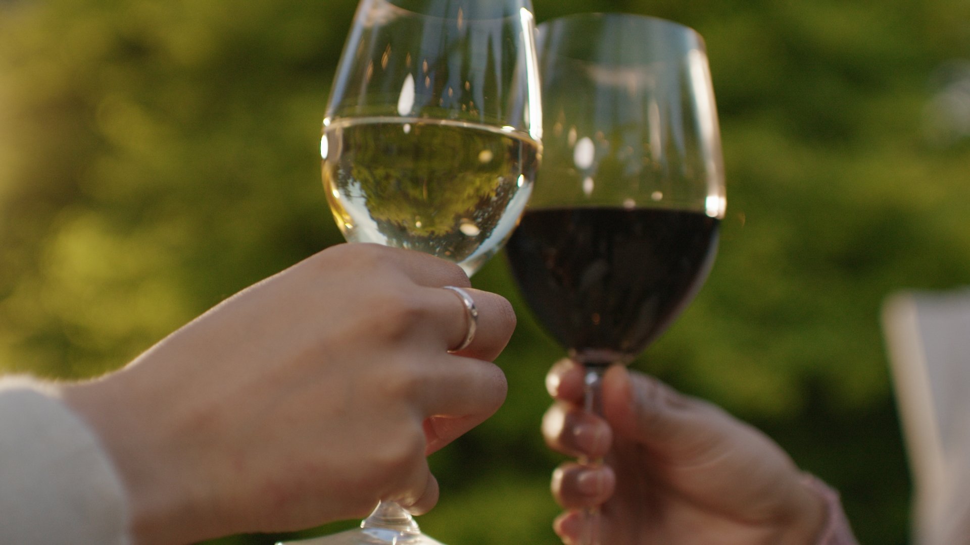 Still 2026-02-03 220043_1.66.1.jpg