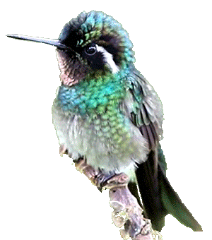 A Slice of My Heart - on a Tuesday in October