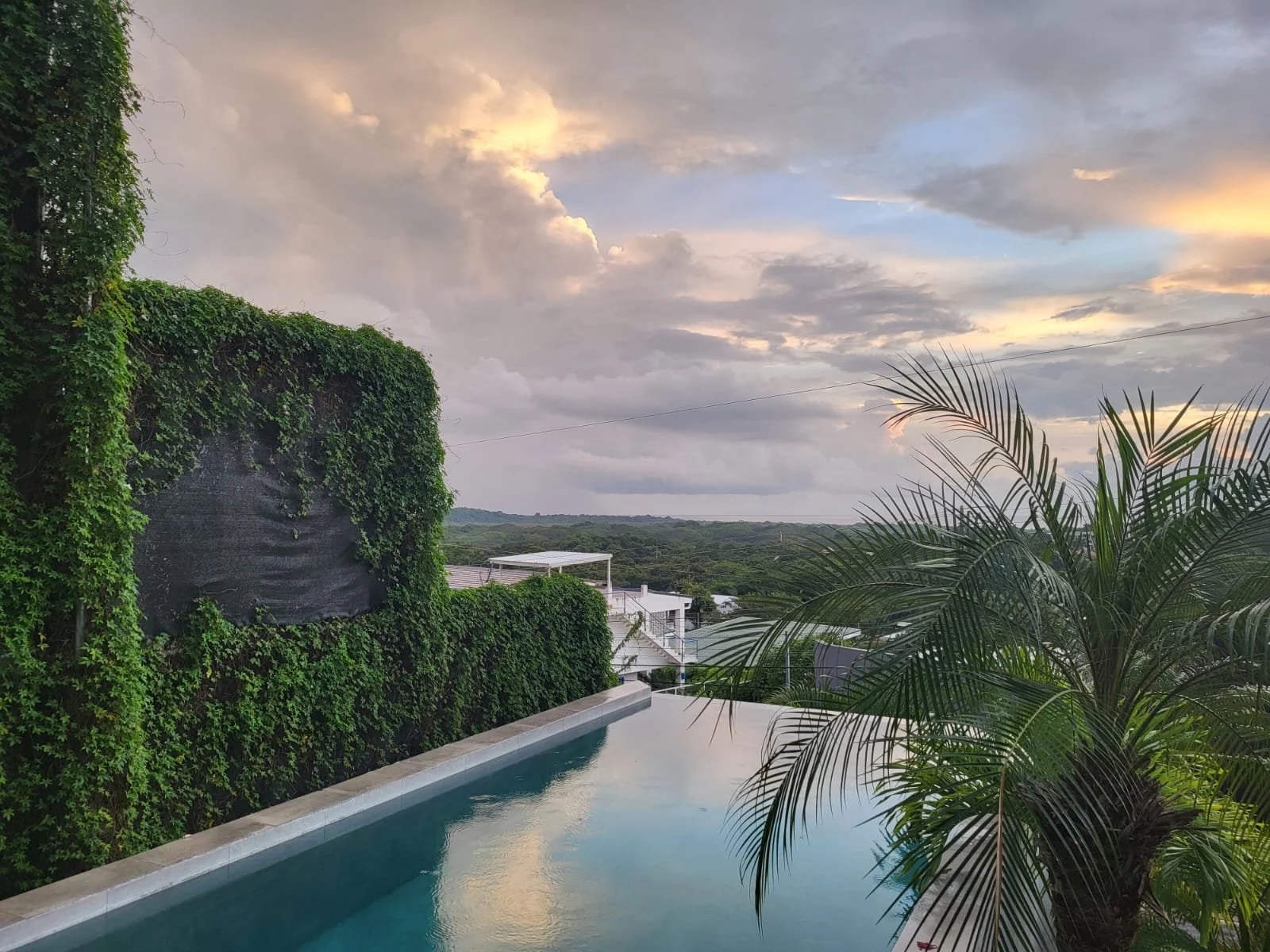 Third Eye - Forehead - Pineal Gland - Central Nervous System