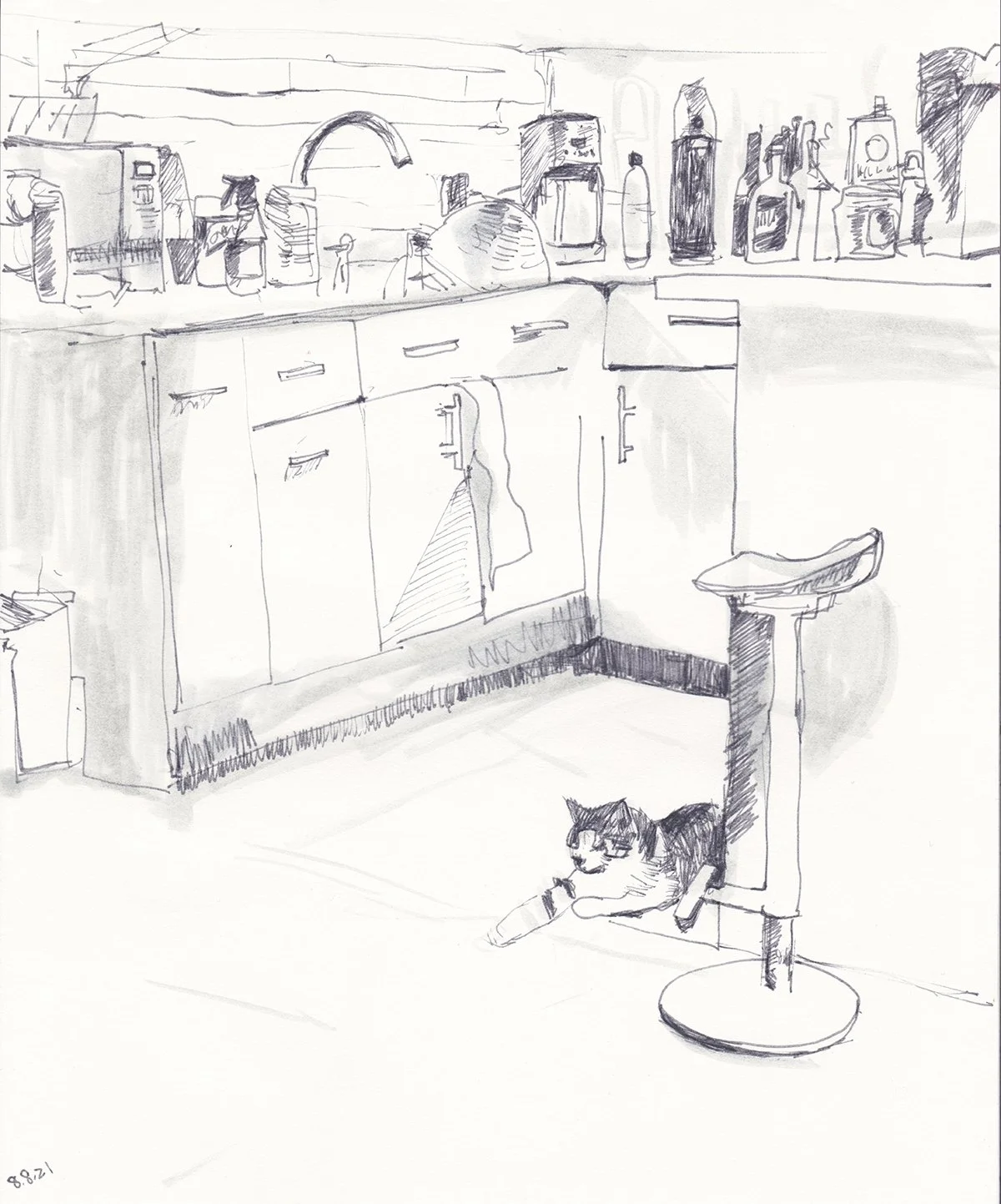 Biskit in the Kitchen