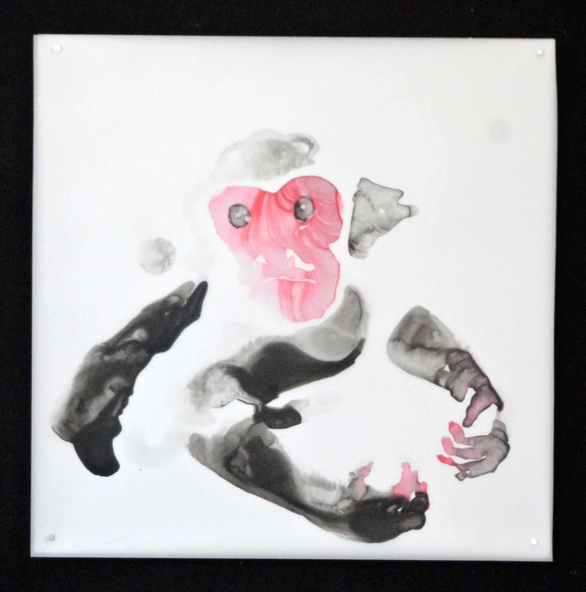 monkey-2.jpg