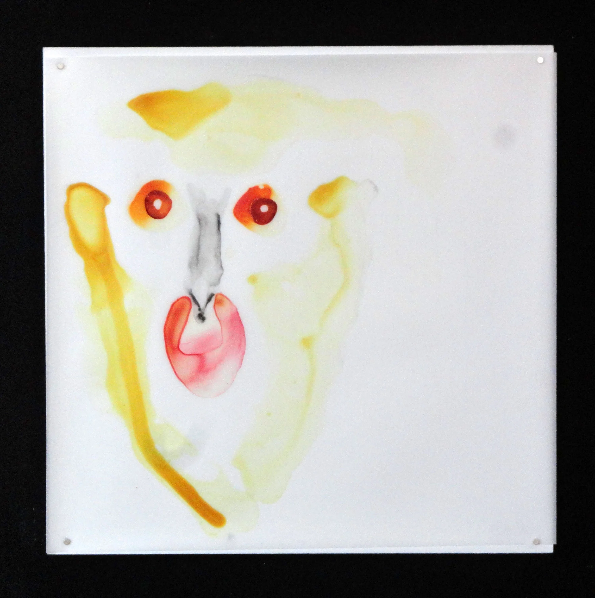 monkey-6.jpg
