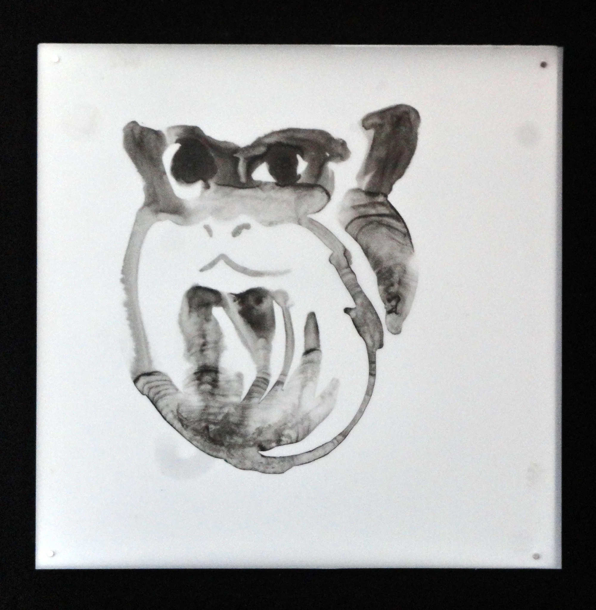 monkey-5.jpg