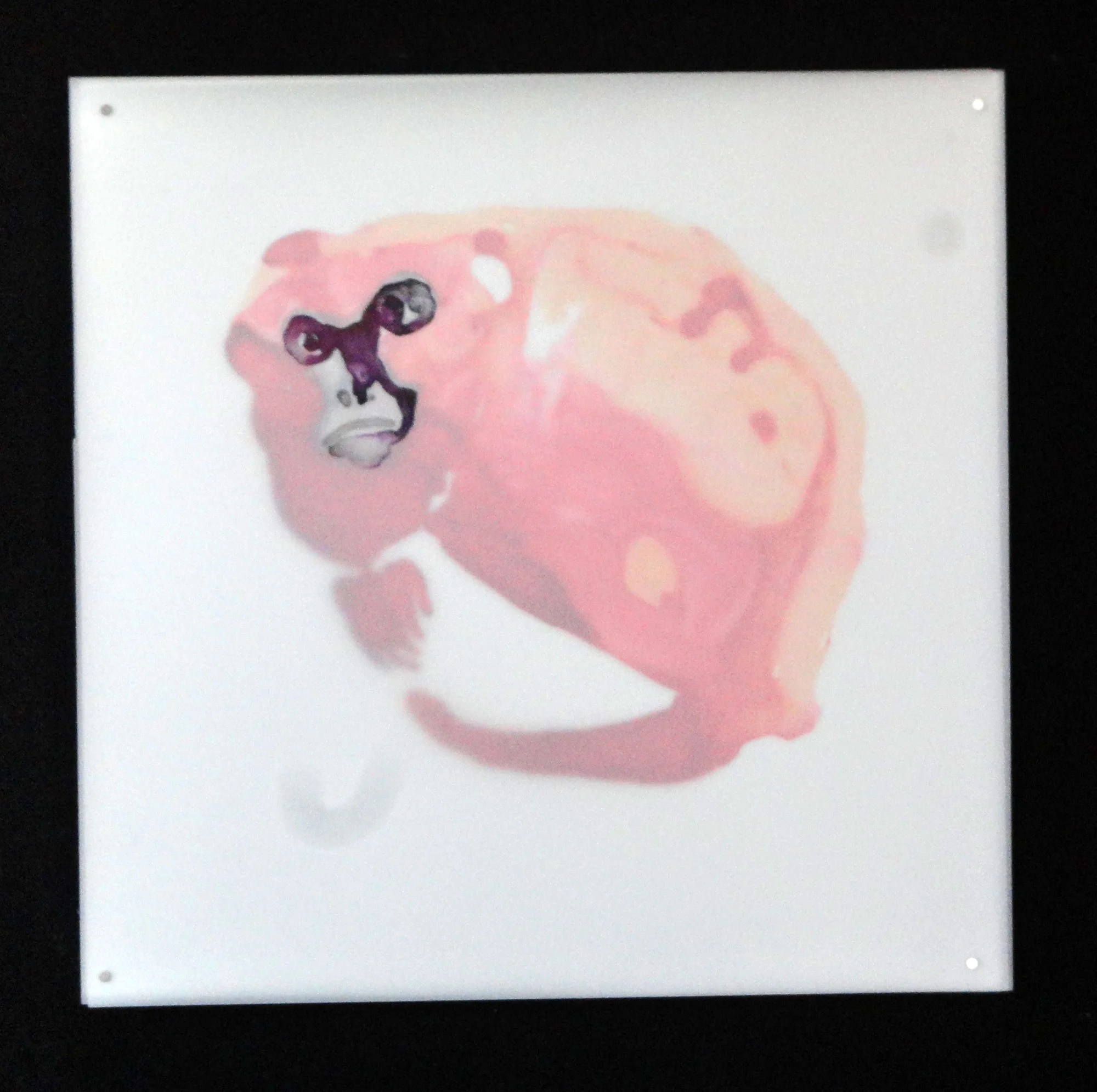 monkey-7.jpg