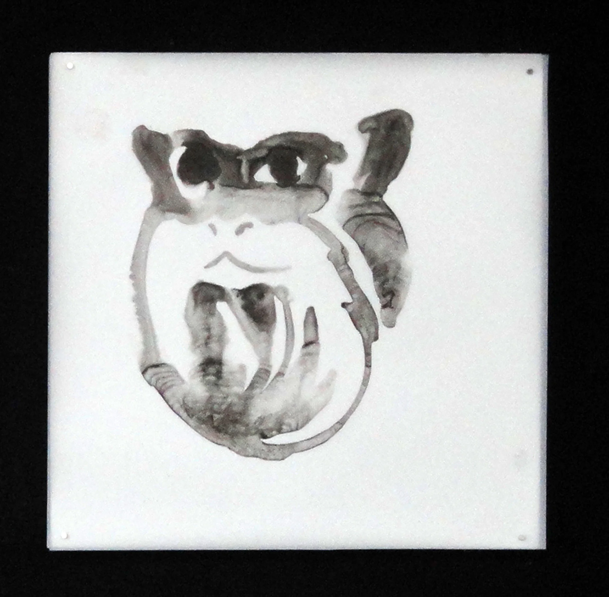 monkey-16.jpg