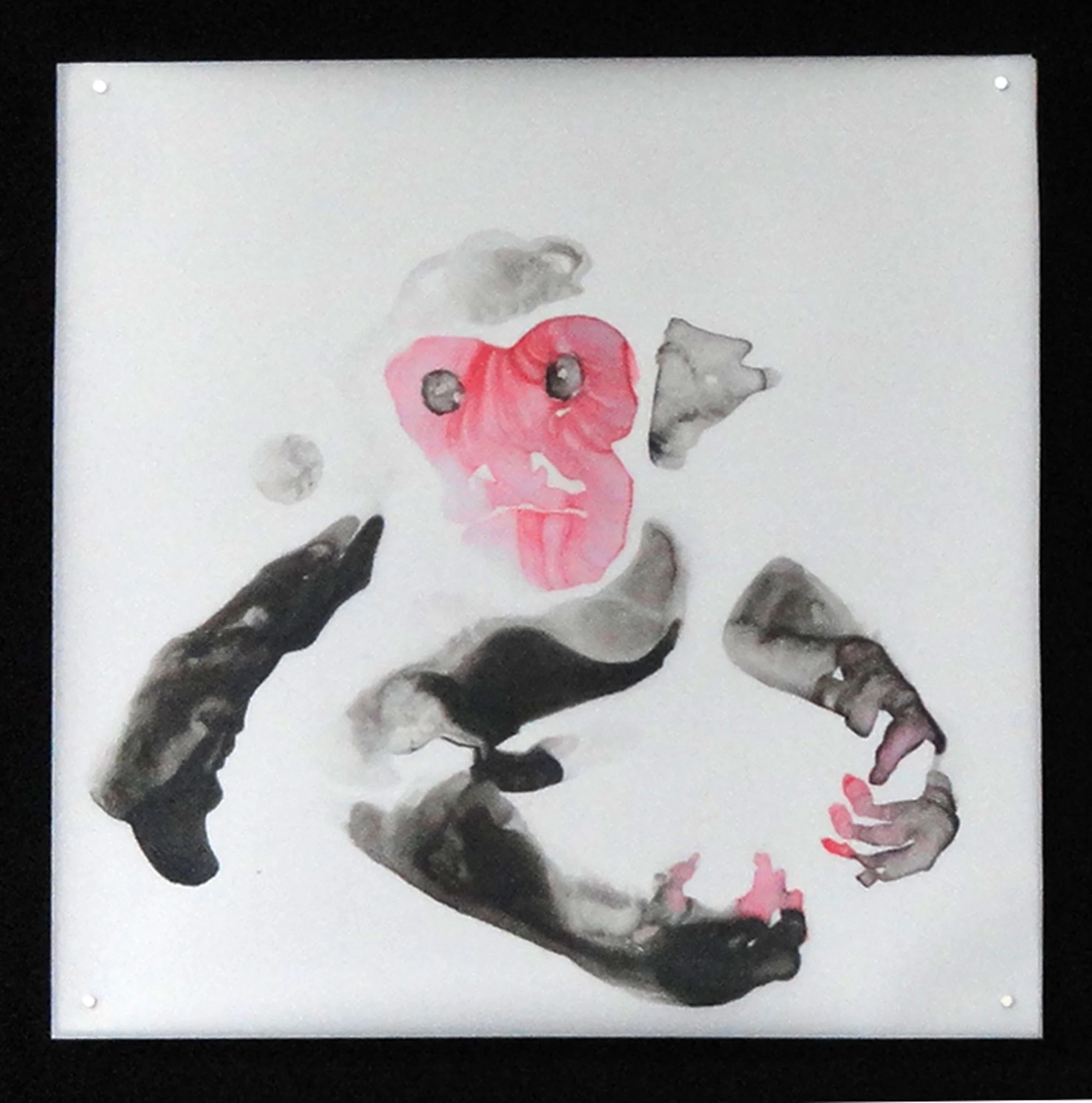 monkey-17.jpg