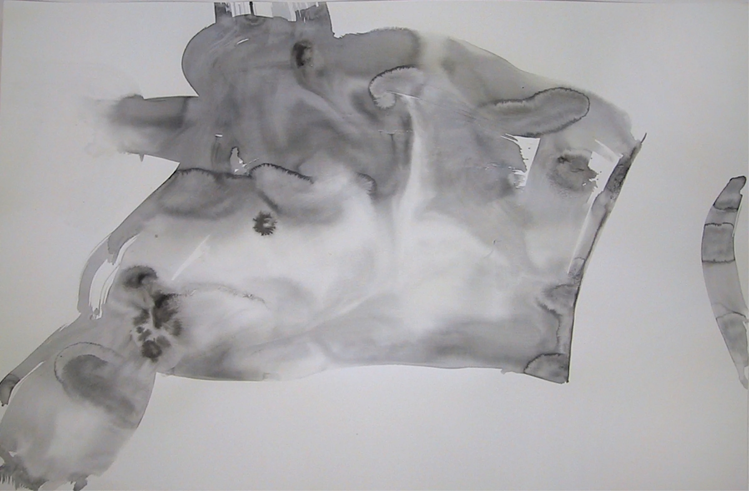 8 torso.jpg