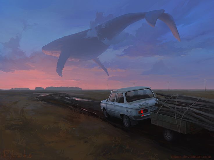 Za Drovami -RHADS