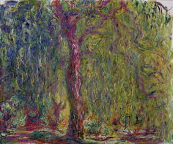  
                                MMT 82312
                                Weeping Willow, 1918-19 (oil on canvas)
                                Monet, Claude (1840-1926)
                                MUSEE MARMOTTAN MONET, PARIS, , 